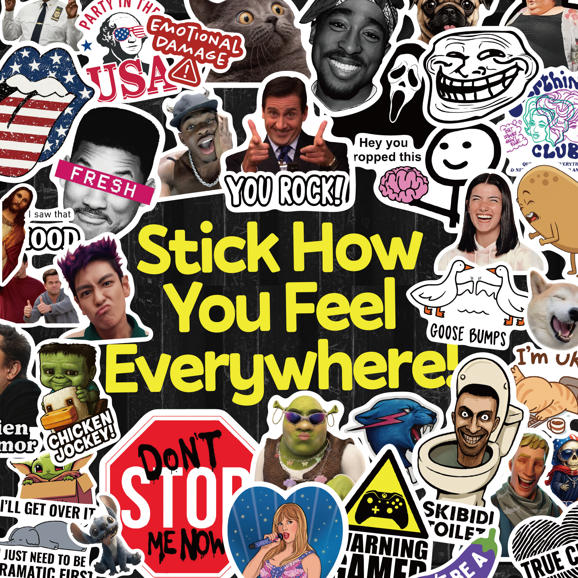 LOLSTIX meme and funny vinyl stickers pack with cute and aesthetic designs.